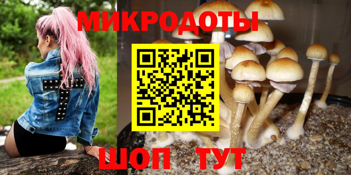 Псилоцибиновые грибы мицелий Донецк